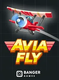 Avia Fly Avia Fly crash at F111 COM